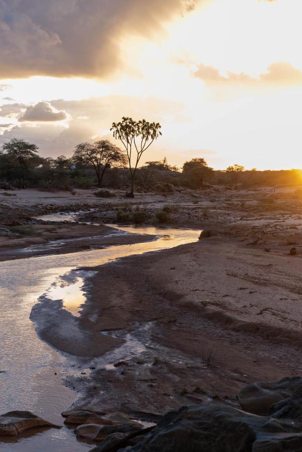 Sarova Shaba Game Lodge Archers Post Экстерьер фото